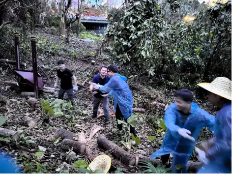 1741880200909049688.jpg 1741880200909049688.jpg