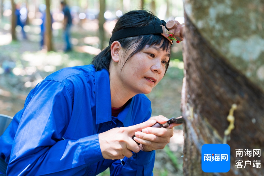 1745455725596060692.jpg 1745455725596060692.jpg