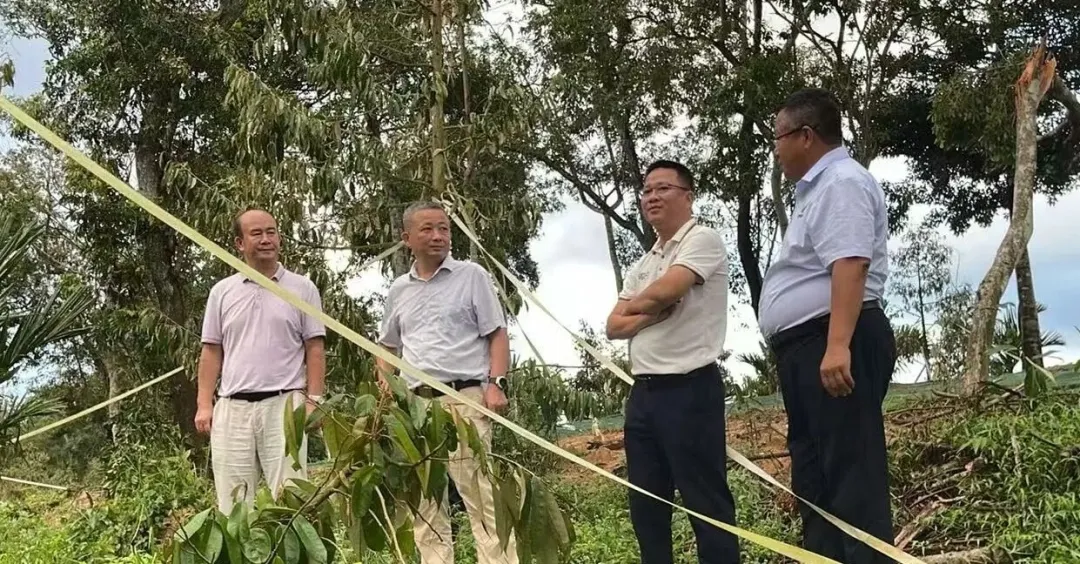 1757171410888030071.jpg 1757171410888030071.jpg