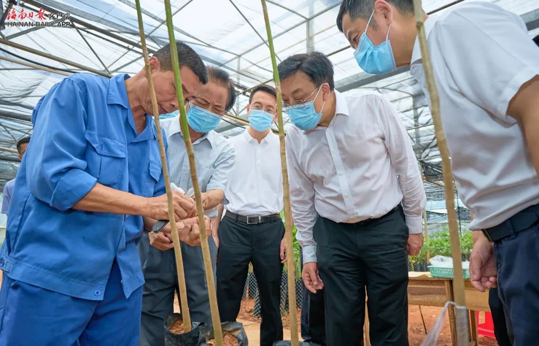 1690162490250004696.jpg 16.jpg