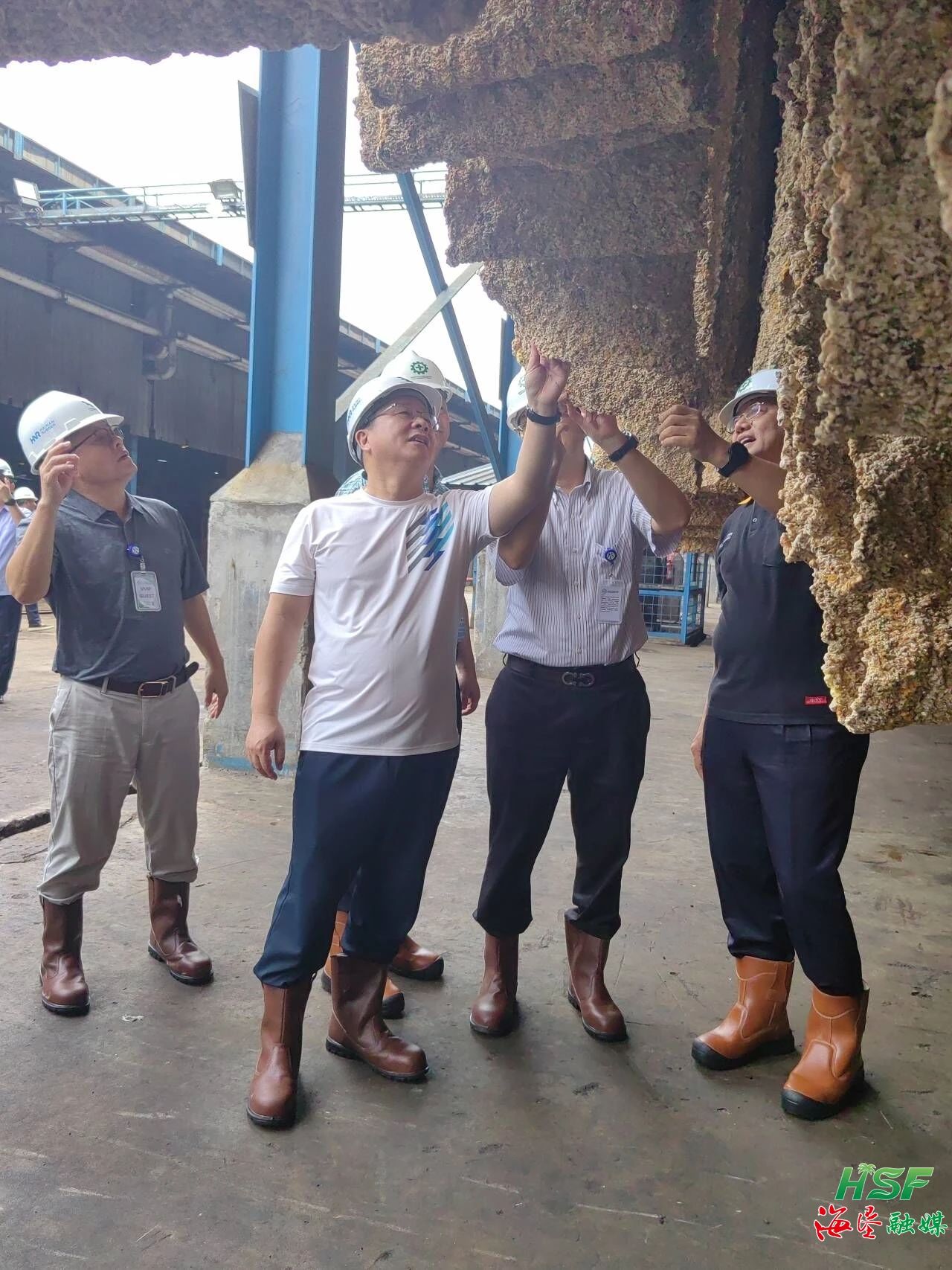 包洪文一行調研合盛農業(yè)SGO加工廠。